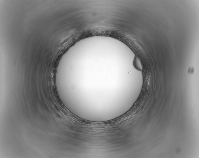 X0000094350964200711021309