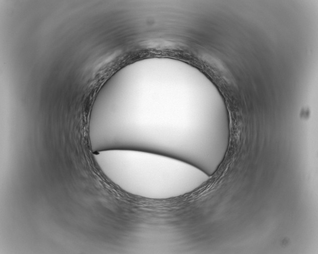 X0000094350966200711021309