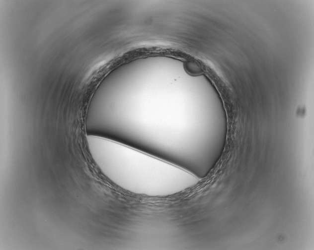 X0000094350967200711021309