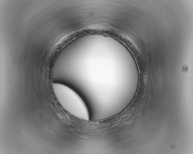 X0000094350968200711021309
