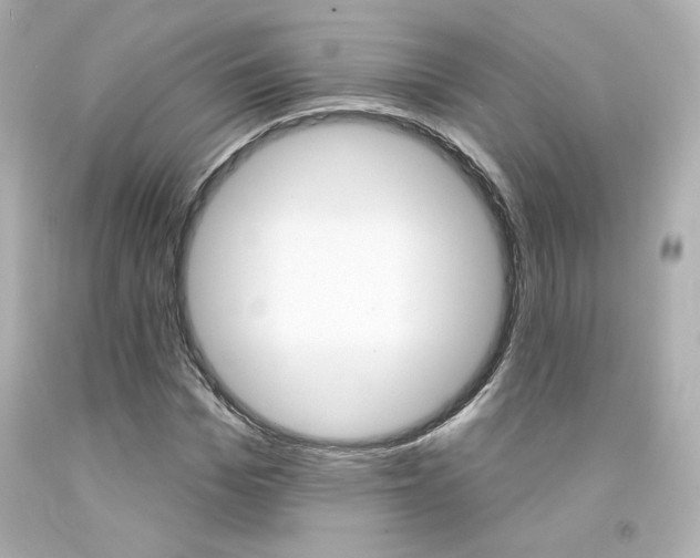 X0000094350969200711021309