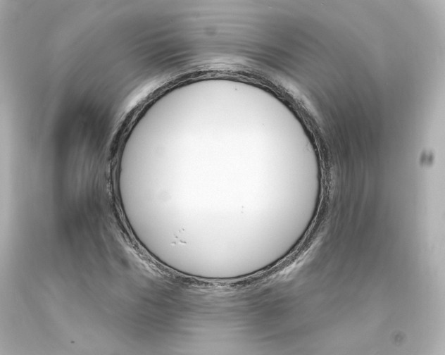 X0000094350970200711021309