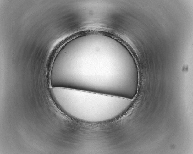 X0000094350971200711021309