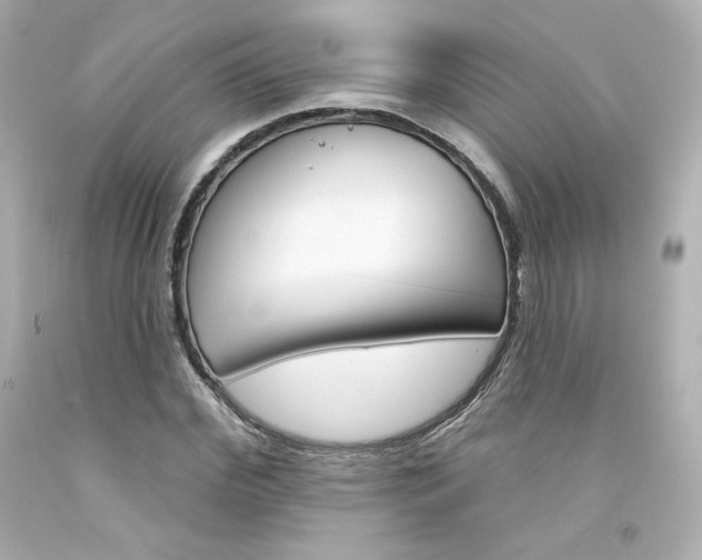 X0000094350972200711021309