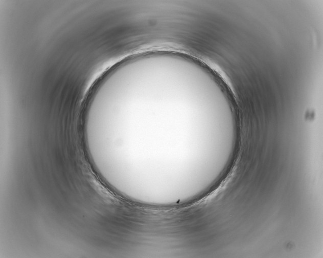 X0000094350973200711021309