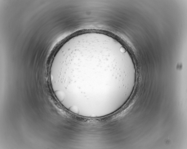 X0000094350974200711021309