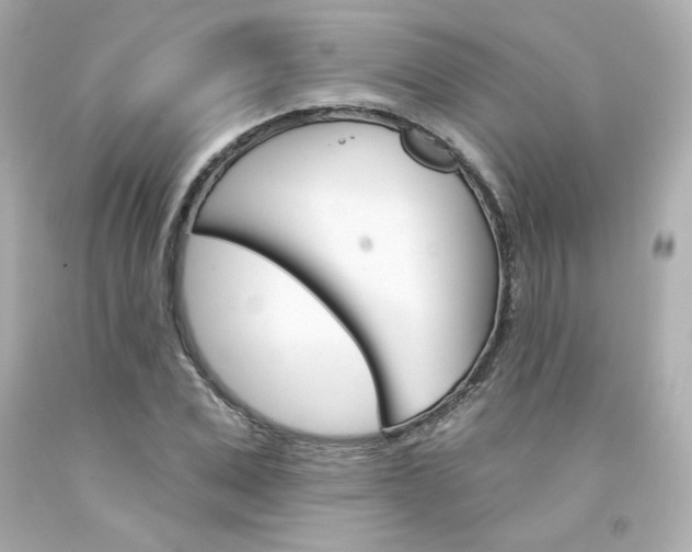 X0000094350975200711021309