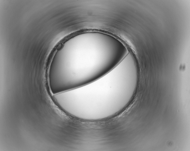 X0000094350976200711021309