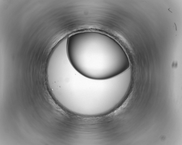 X0000094350977200711021309