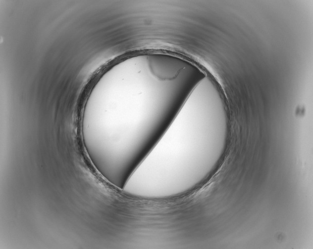 X0000094350979200711021309