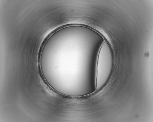 X0000094350980200711021309