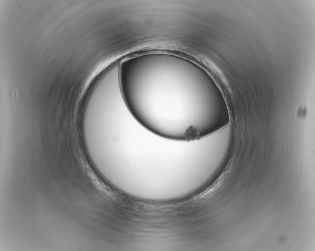 X0000094350981200711021309