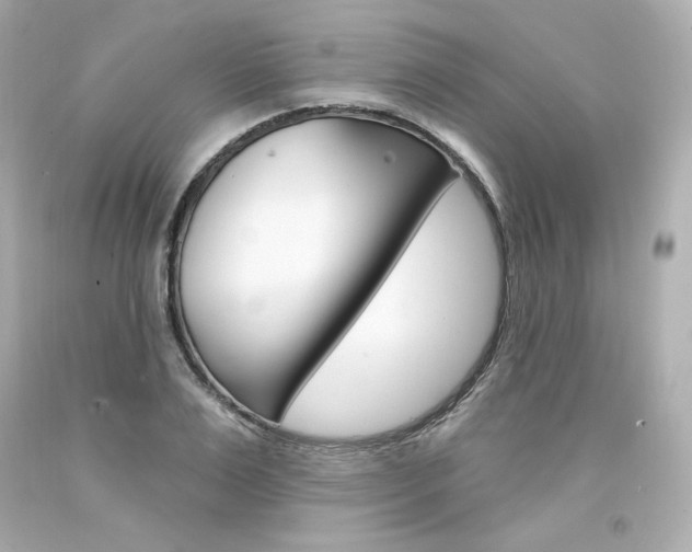 X0000094350983200711021309