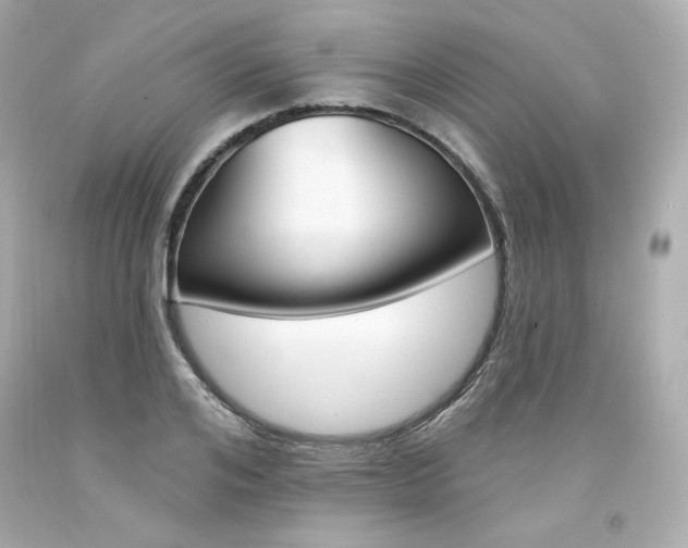 X0000094350984200711021309
