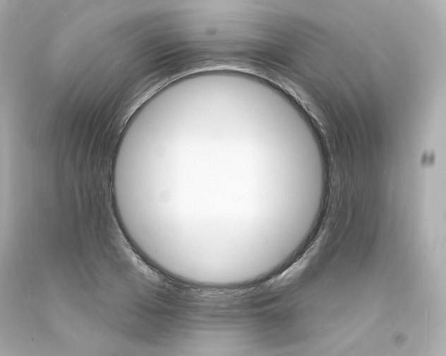 X0000094350985200711021309