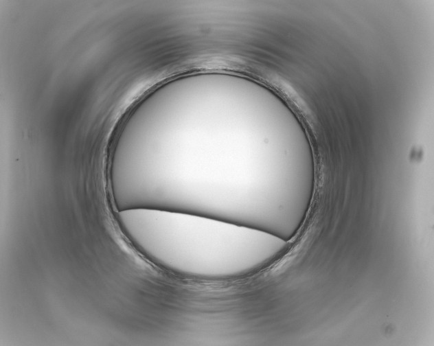 X0000094350986200711021309