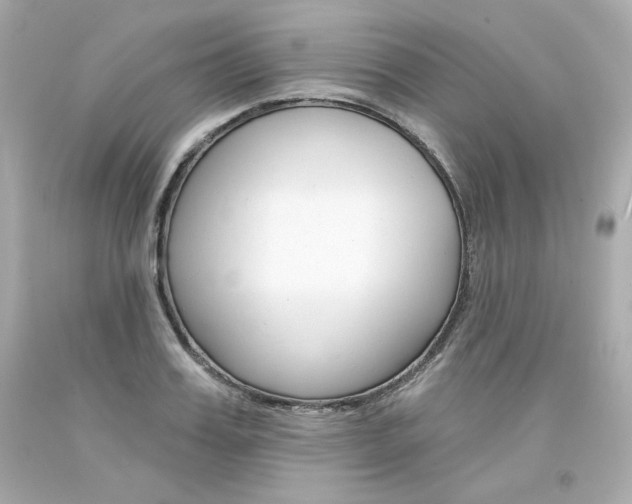 X0000094350987200711021309