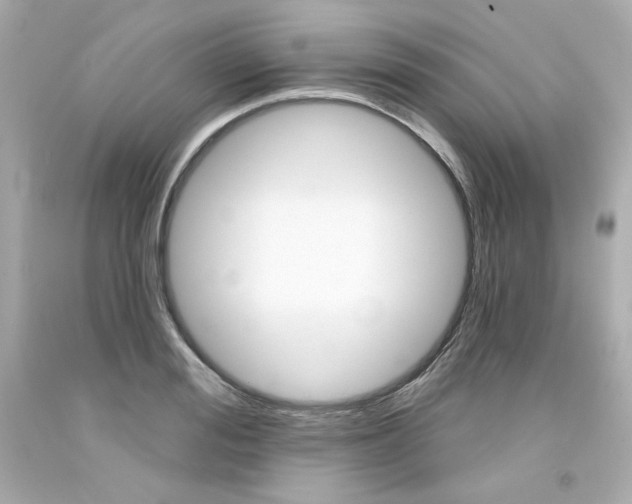 X0000094350988200711021309