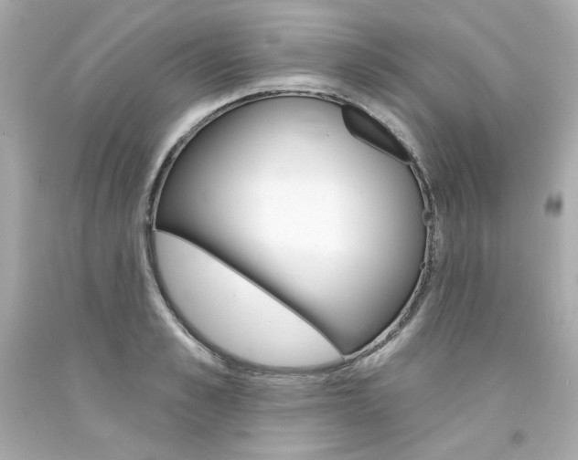 X0000094350989200711021309