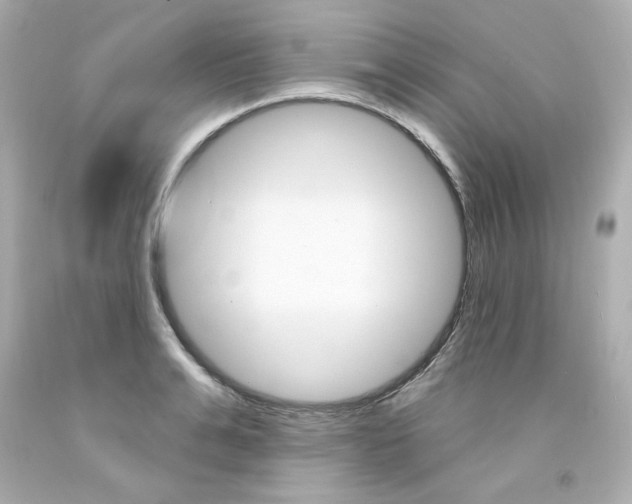 X0000094350991200711021309