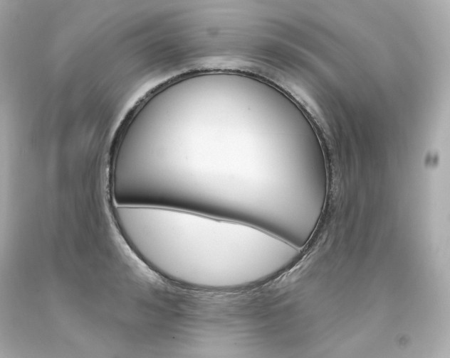 X0000094350992200711021309