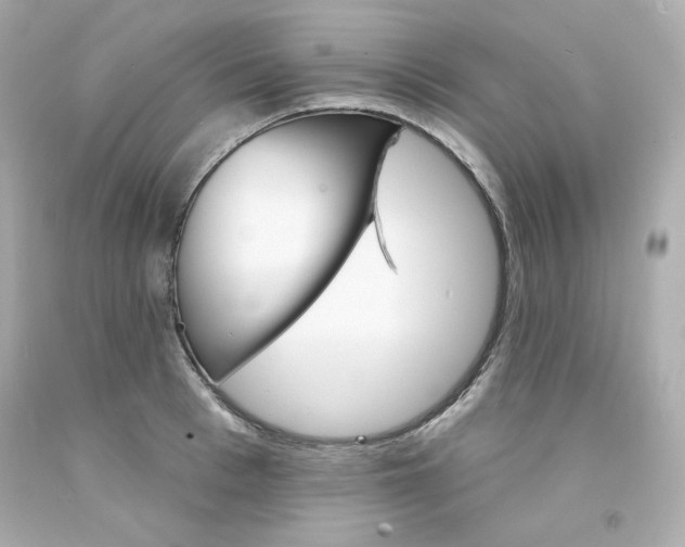 X0000094350993200711021309