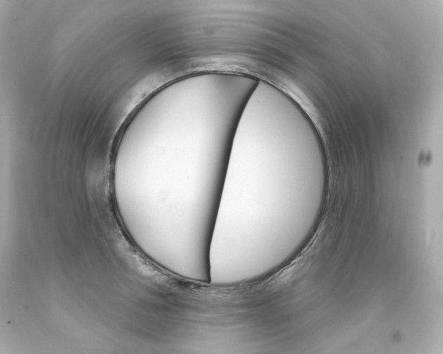 X0000094350994200711021309