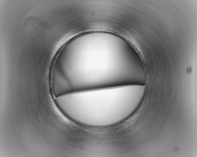 X0000094350995200711021309