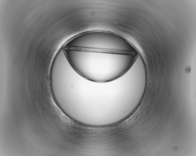 X0000094350996200711021309