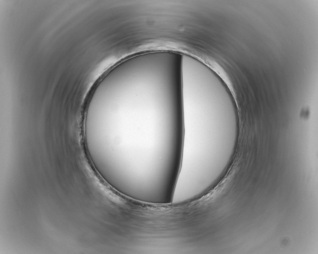 X0000094350997200711021309