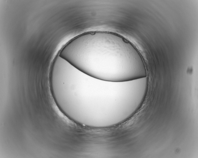 X0000094350998200711021309