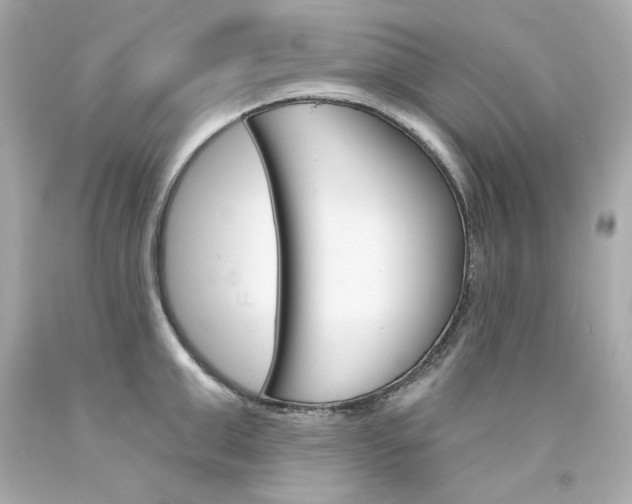 X0000094350999200711021309