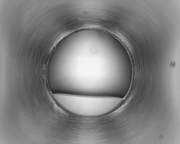 X0000094351001200711021309