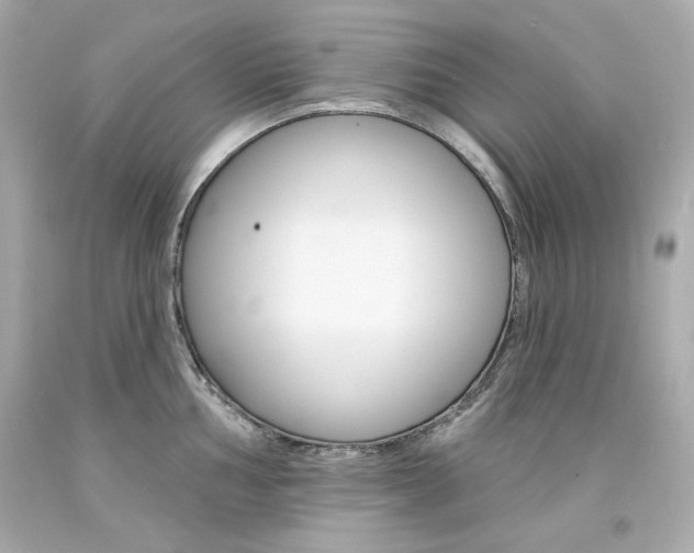 X0000094351002200711021309
