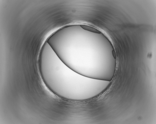 X0000094351003200711021309