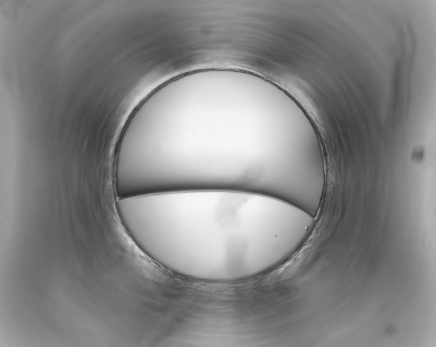 X0000094351004200711021309