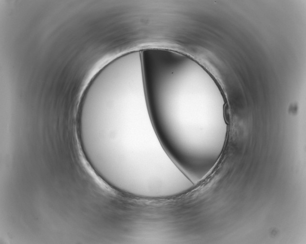 X0000094351005200711021309