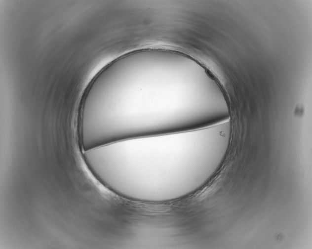 X0000094351007200711021309