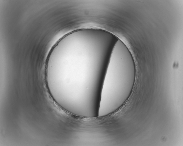 X0000094351008200711021308