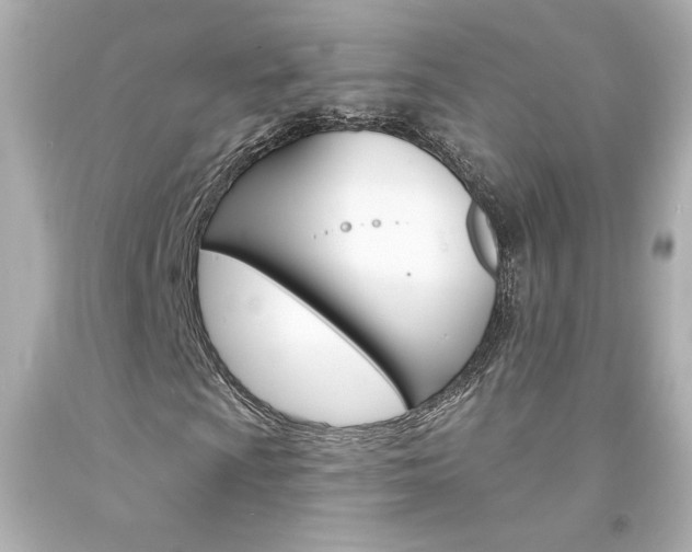 X0000094351009200711021308