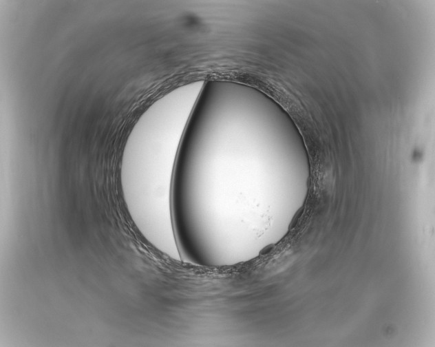 X0000094351010200711021308