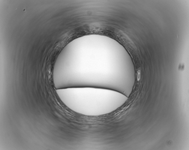X0000094351011200711021308