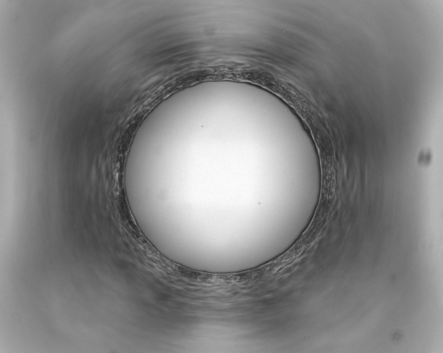 X0000094351013200711021308