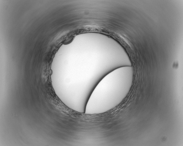 X0000094351015200711021308