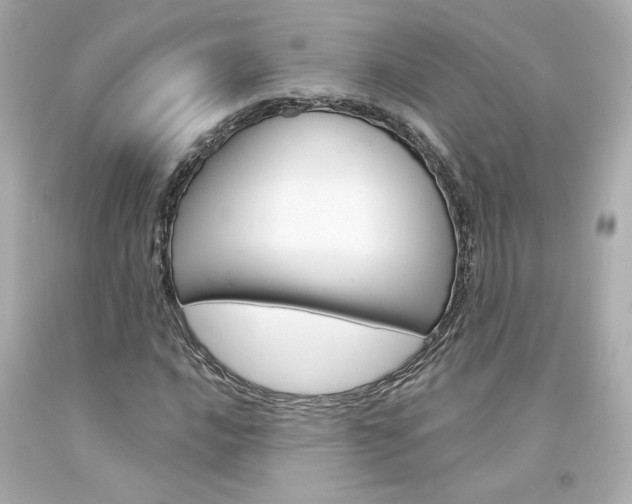 X0000094351016200711021308
