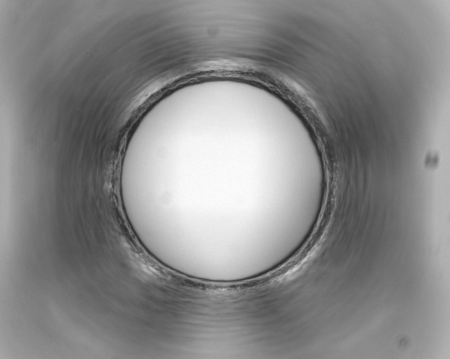 X0000094351017200711021308