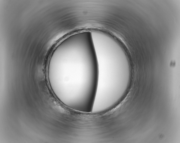 X0000094351018200711021308