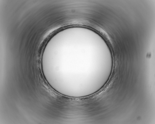 X0000094351019200711021308
