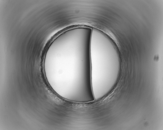 X0000094351020200711021308