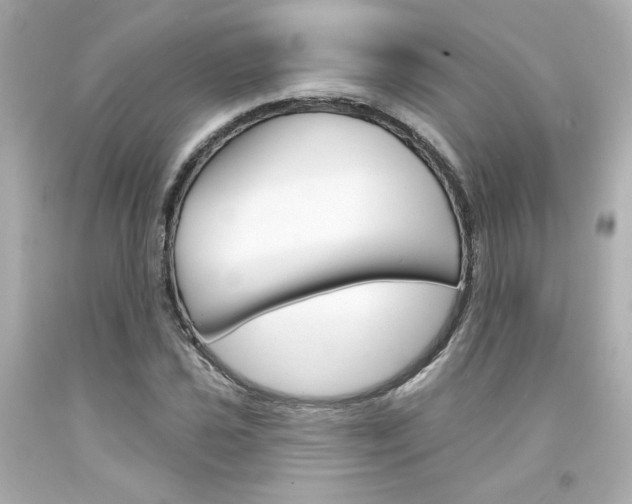 X0000094351021200711021308